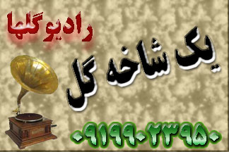 یک شاخه گل