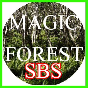 مستند 3d sbs Magic Forest