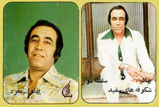 استاد ایرج