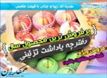 دفترچه یاداشت تزئینی 