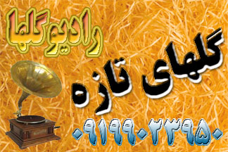  گلهای تازه 