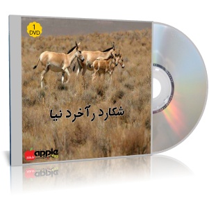 شکار در آخر دنیا