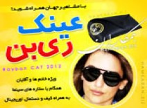 عینک آفتابی Rayban مدل cat اورجینال
