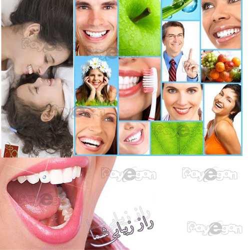 خرید پودر سفید کننده دندان - شادابی لثه ها و جلوگیری از پوسیدگی دندان ها - باکتری های مضر دهان