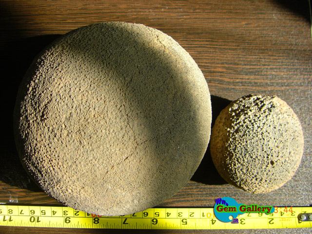 سنگهای فسیل خارپوستان راف و طبیعی   IRAN Echinoid Family Fossil
