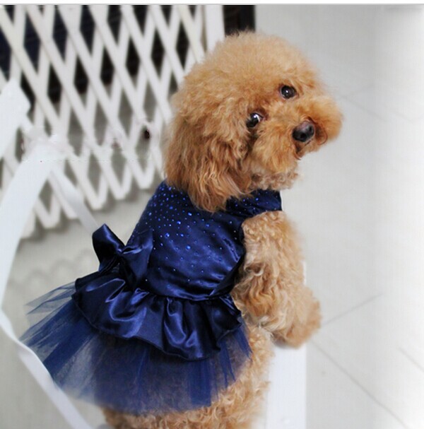 لباس سگ مدل Lace Skirt 4