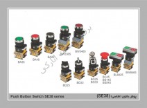پوش باتون شاسی تیپ SE 38