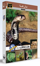  مستند زیبای حیات وحش مارها - Snake (اورجینال)