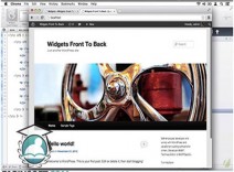 برنامه نویسی Widget برای WordPress