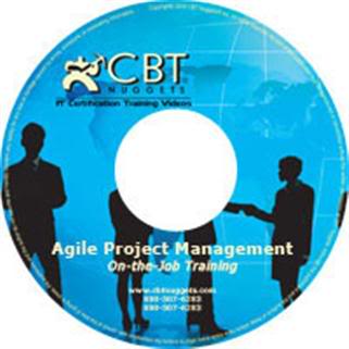 مدیریت پروژه حرفه ای - Project Management Professional