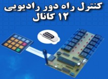 کنترل رادیویی 12 کانال