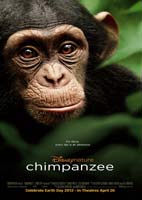  Chimpanzee 