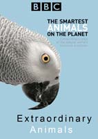 Extraordinary Animals – مستند حیوانات اعجاب آور 