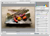 Photoshop CS5 for Photographers Camera Raw 6 