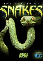 The Beauty of Snakes – مستند زیبایی مارها 