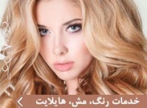 خدمات رنگ، مش، هايلايت