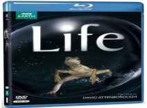 مجموعه حیات وحش بی نظیر (حیات - LIFE) با زیرنویس فارسی