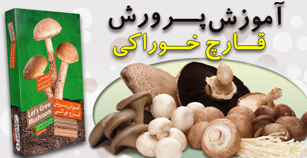 آموزش پرورش قارچ به زبان فارسي 