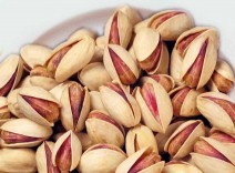 خرید پسته بدون واسطه از باغات رفسنجان