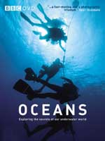  Ocean – مستند اقیانوس 