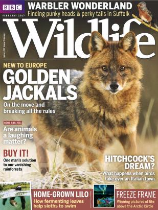 دانلود مجله حیات وحش  Bbc Wildlife 2017
