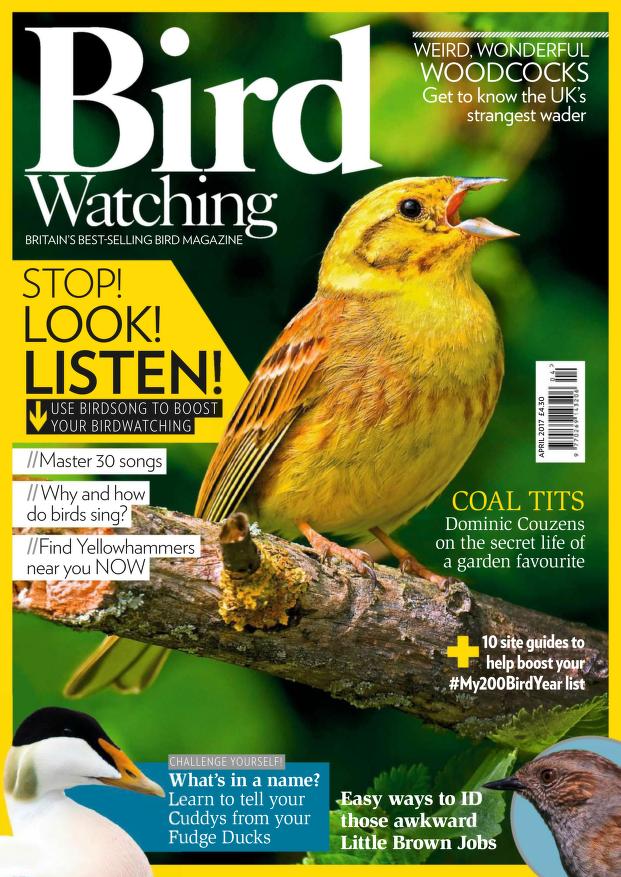 مجله پرندگان 2017 Bird Watching