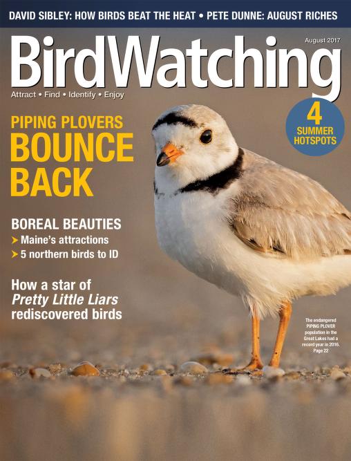 مجله پرندگان 2017 Bird Watching