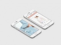 عنوان محصول یا نمونه کار