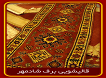 خاک گیری فرش قالیشویی