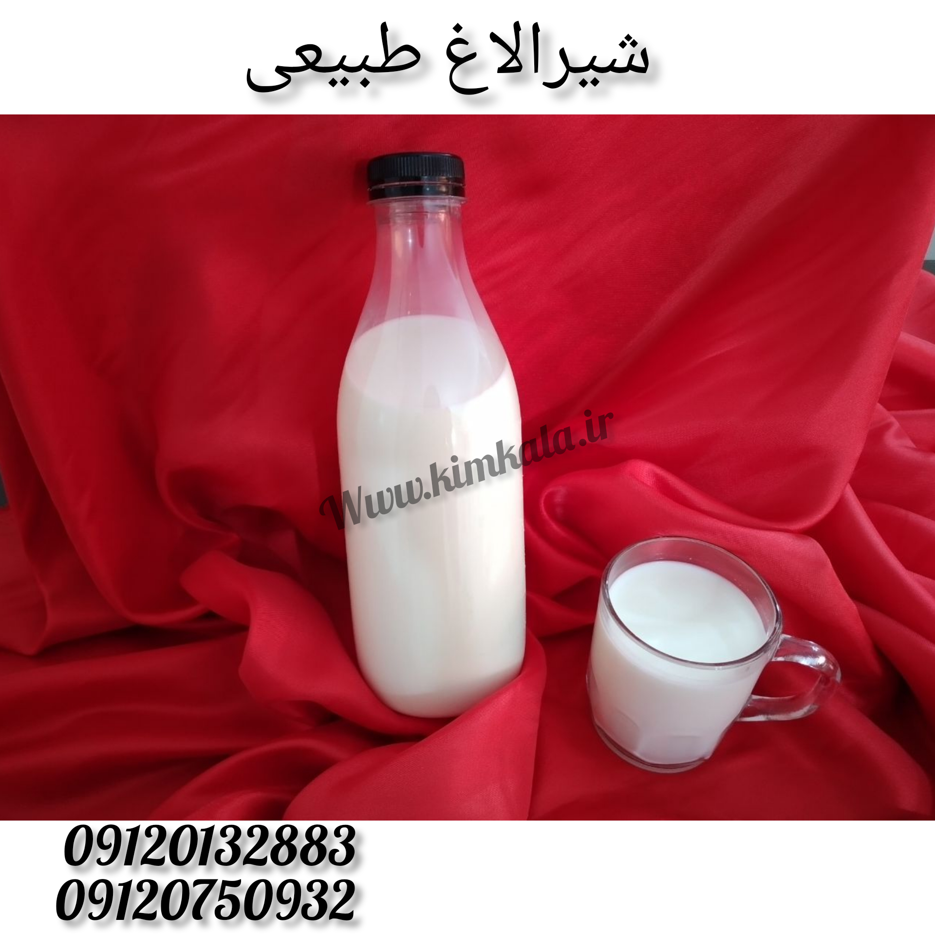 شیر الاغ 09120132883 /شیرالاغ طبیعی
