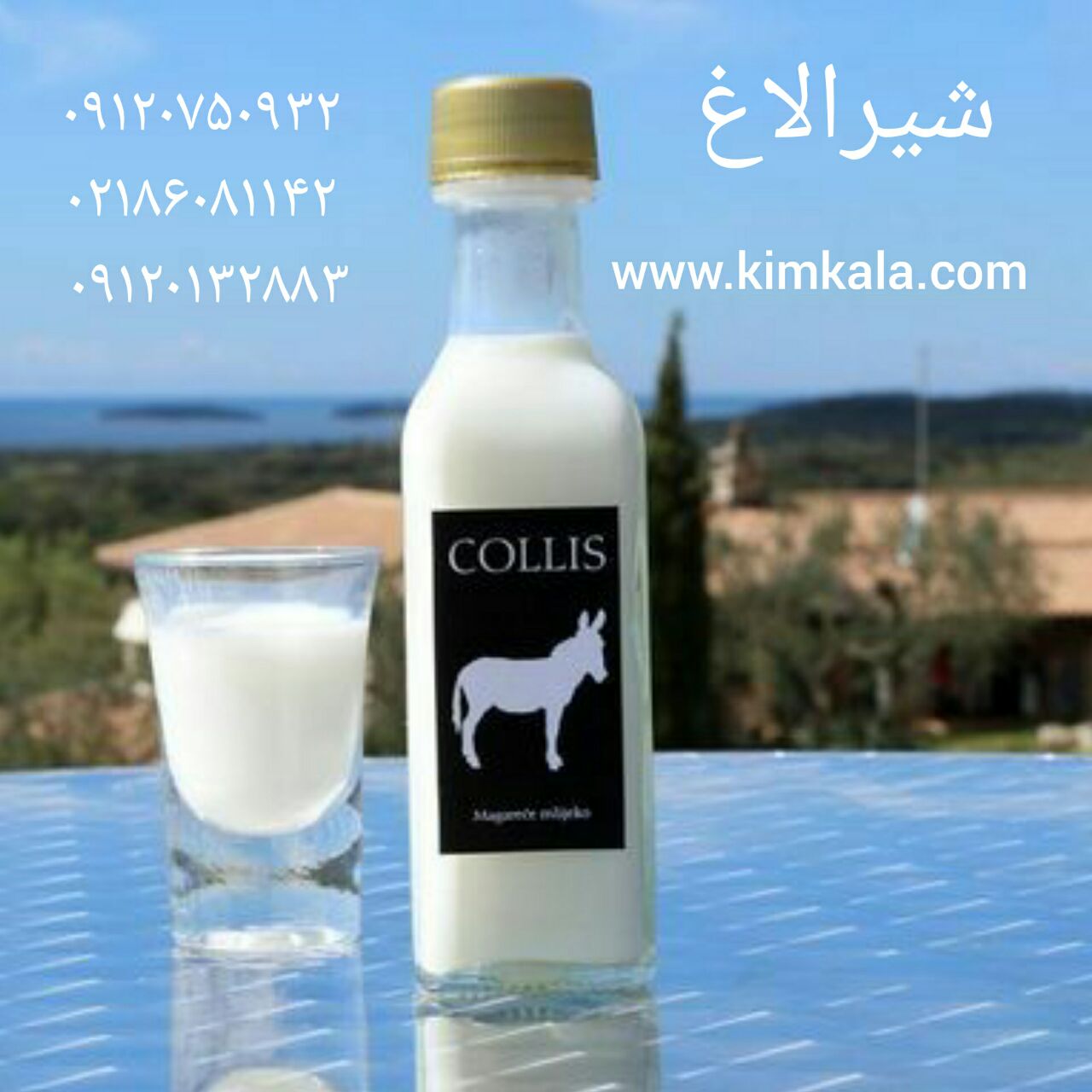 قیمت شیر الاغ 09120132883 شیرالاغ با ضمانت اصل بودن