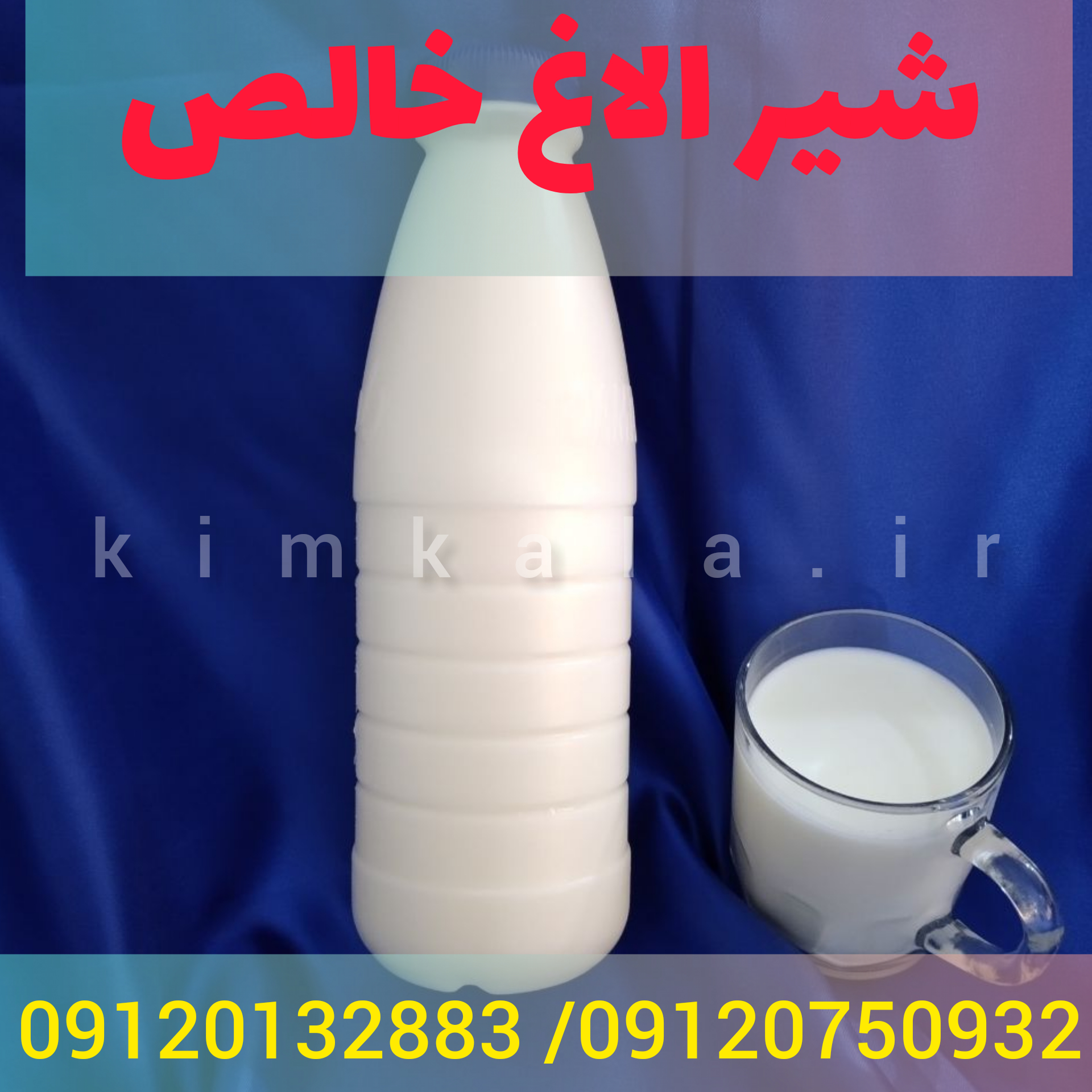 خرید شیر الاغ/09120750932 /قیمت شیر الاغ