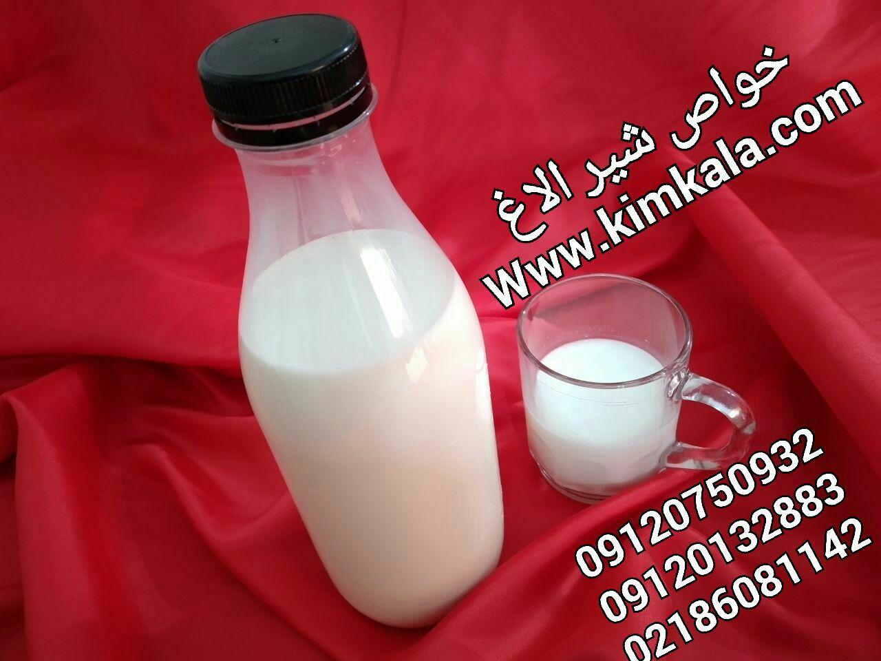 شیرالاغ تازه | 09120750932 | شیر خر تازه 