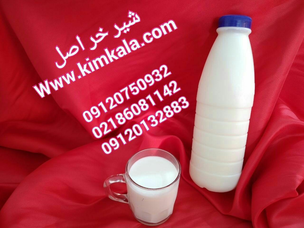 فواید شیر الاغ | 09120132883 |  شیر خر  بهداشتی 
