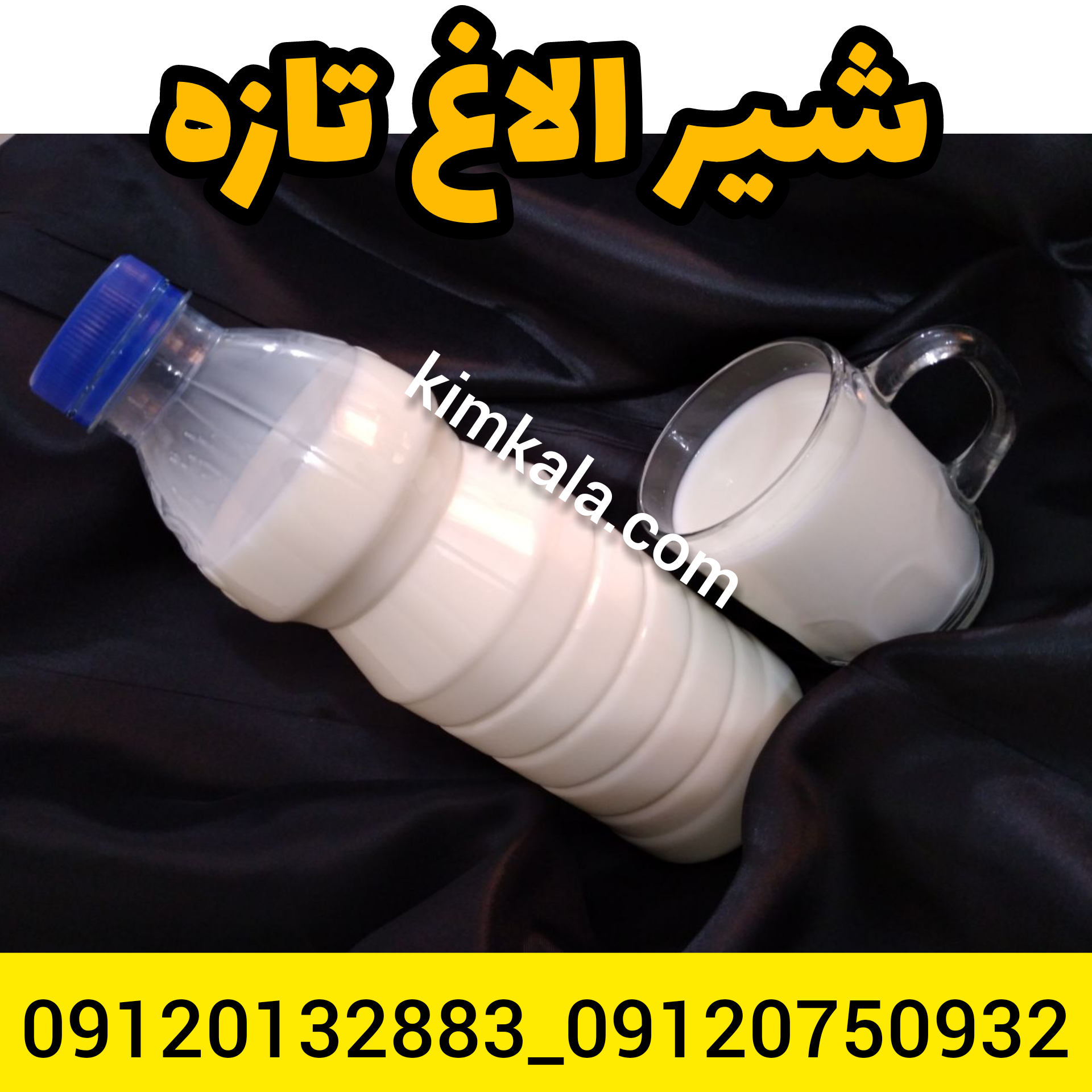 قیمت شیر الاغ/09120132883/خرید شیر الاغ تازه 