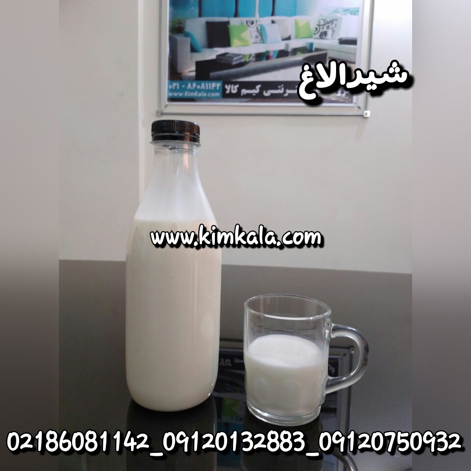 شیرالاغ/۰۹۱۲۰۱۳۲۸۸۳/خواص شیرالاغ/قیمت شیرالاغ
