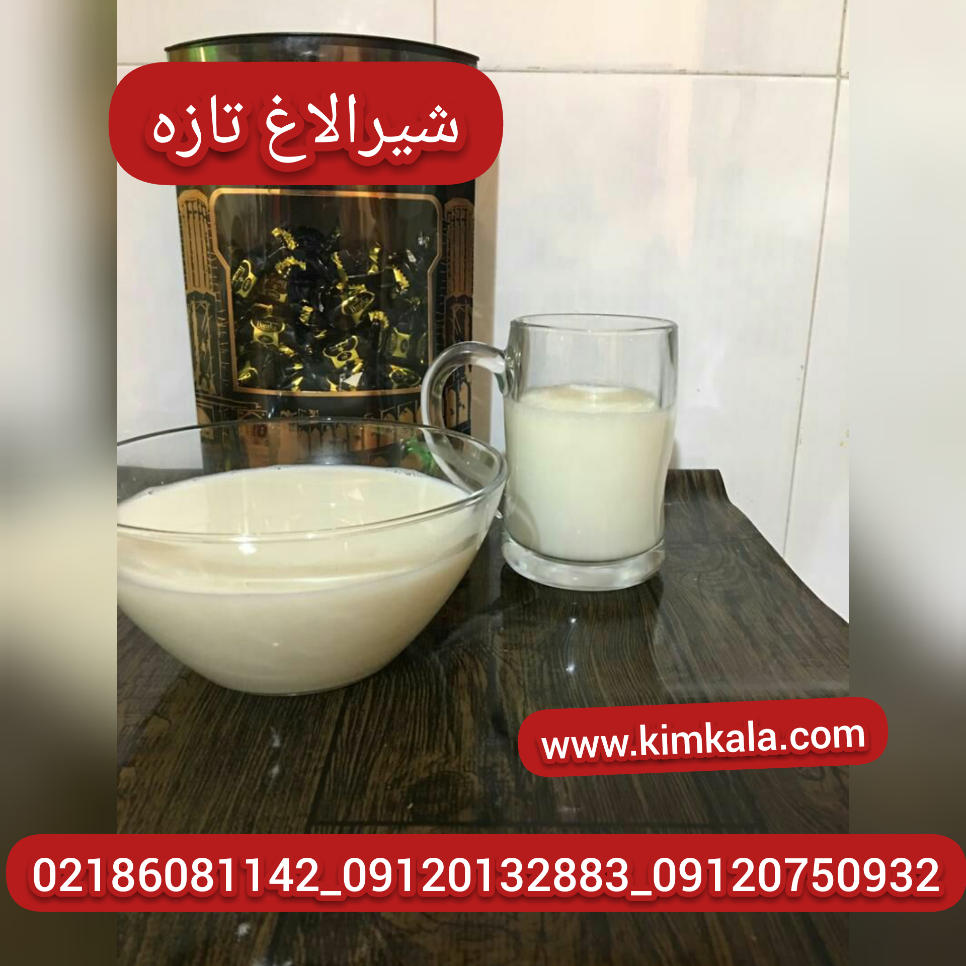 شیرالاغ اصل۰۹۱۲۰۱۳۲۸۸۳/شیرالاغ تازه/قیمت شیرالاغ