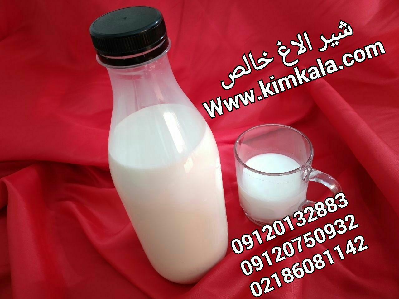 خواص شیر الاغ | 09120750932 | شیر الاغ تازه و خالص | فواید شیر الاغ 