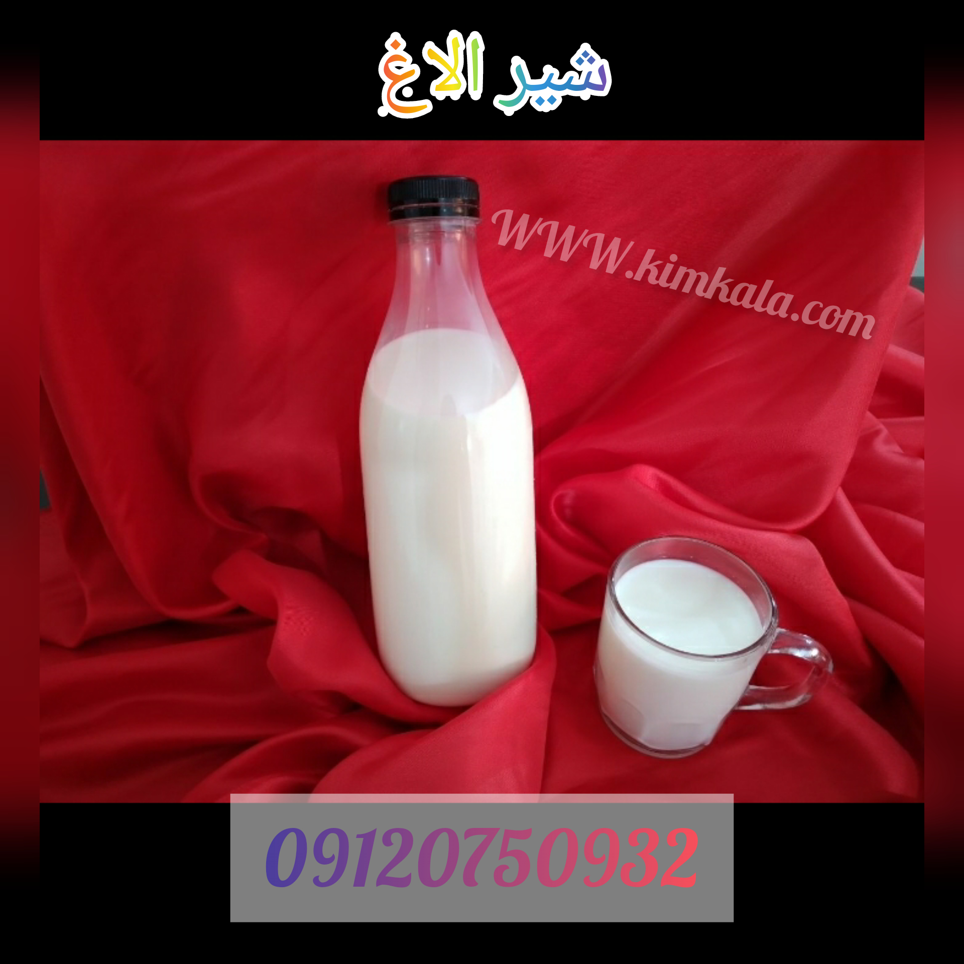  شیر الاغ/عوارض شیر الاغ/09120750932