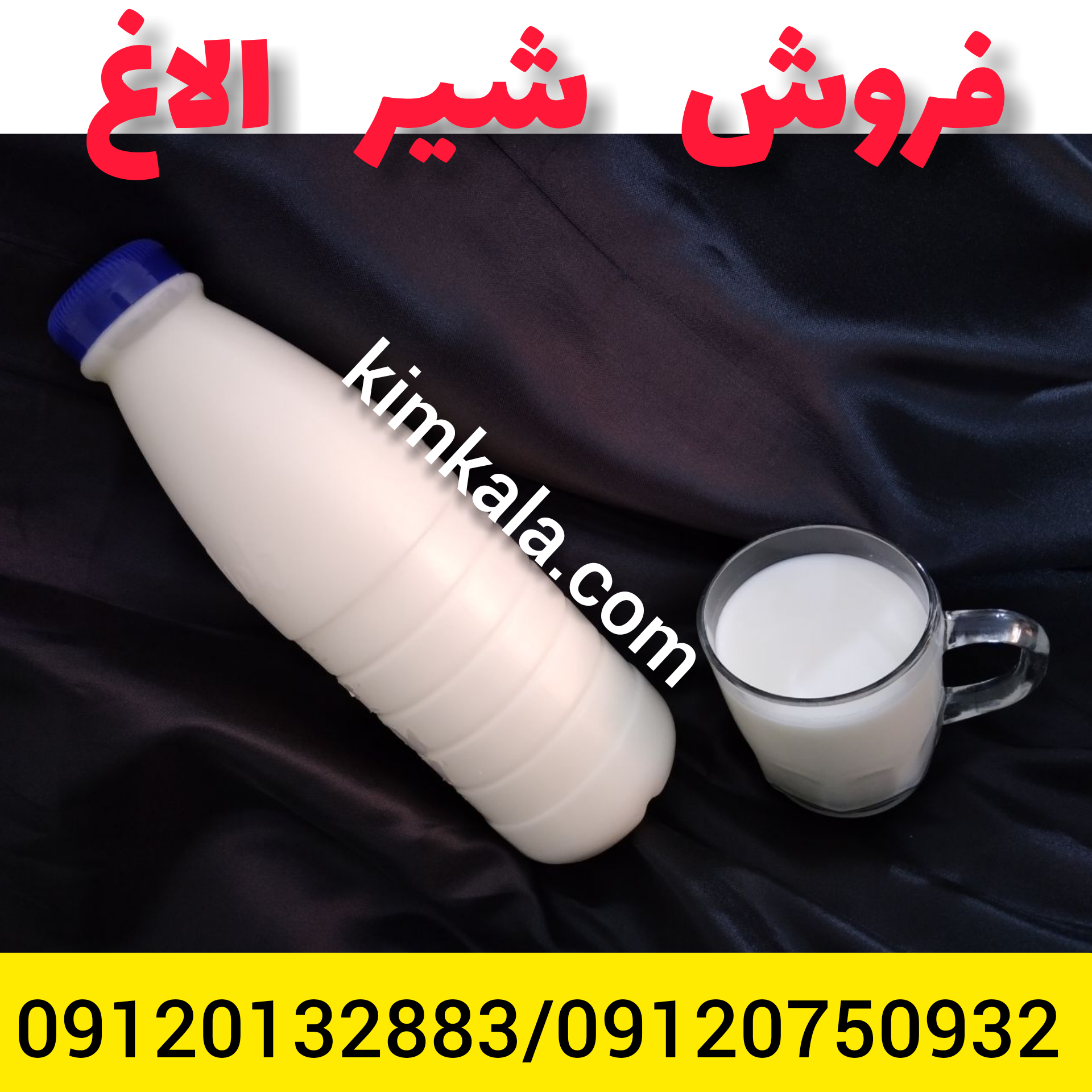 فروش شیر الاغ /09120750932 /قیمت شیر الاغ 