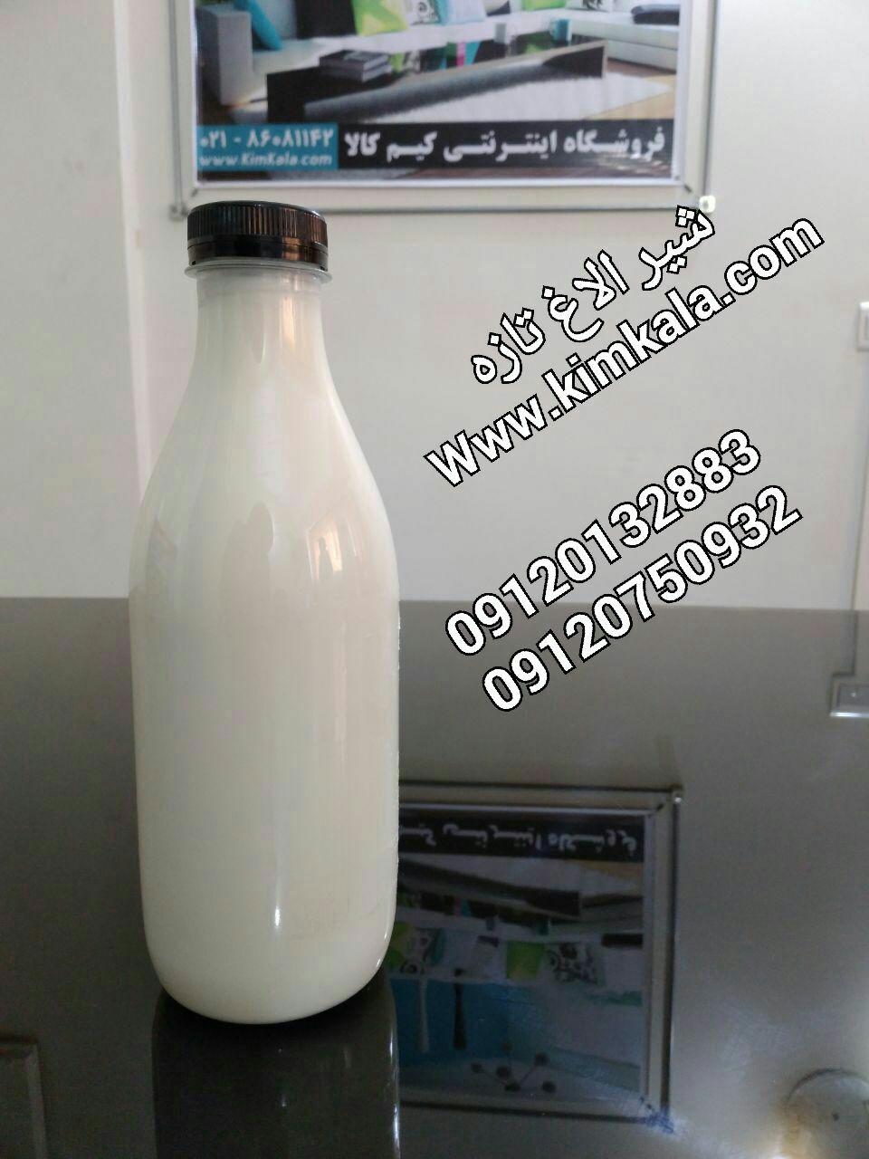 شیر الاغ | 09120750932 | شیر الاغ خالص 