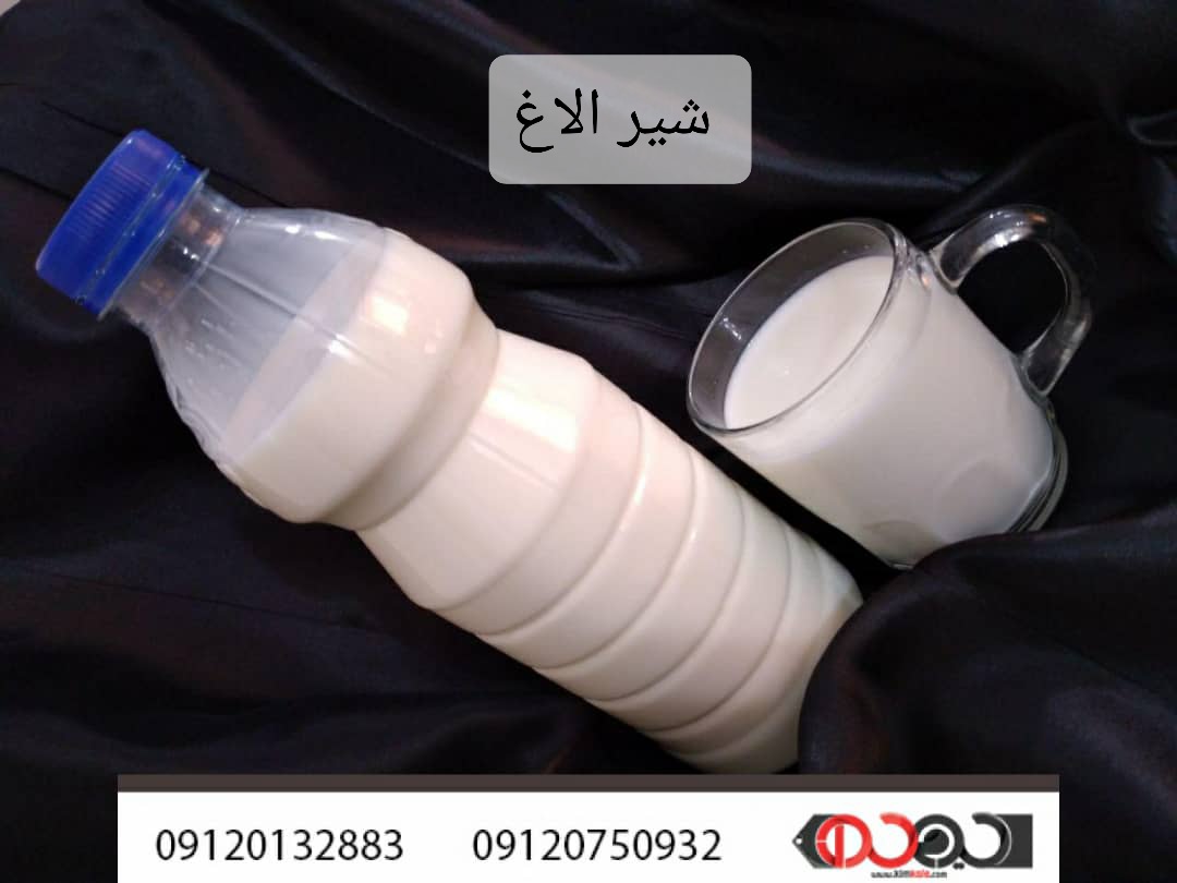 شیر الاغ/۰۹۱۲۰۷۵۰۹۳۲/شیر ضد باکتری 