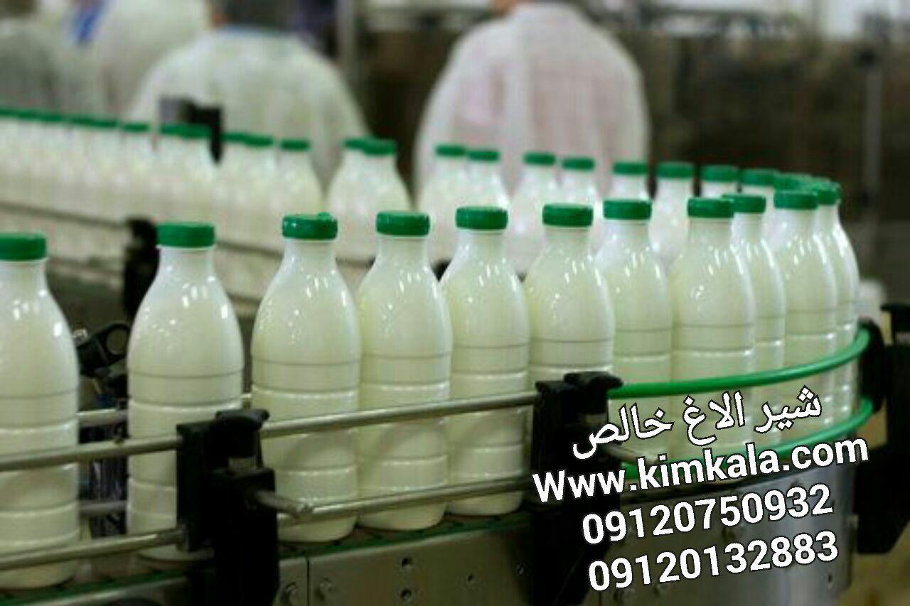 فواید شیر الاغ | 09120750932 |  شیر خر 
