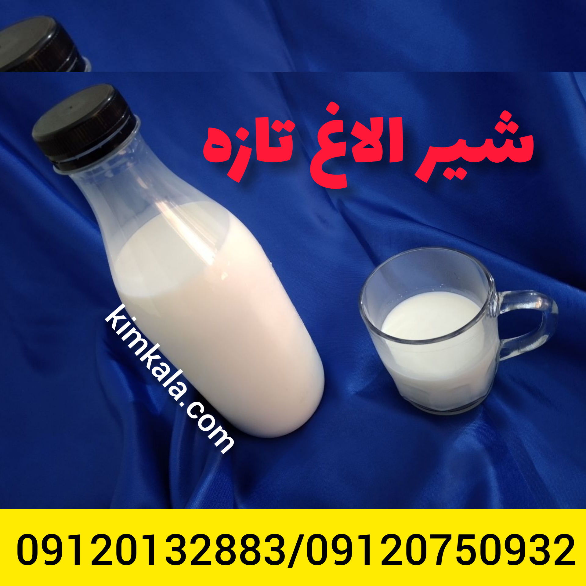 قیمت شیر الاغ /۰۹۱۲۰۱۳۲۸۸۳/شیر الاغ خالص و تازه 